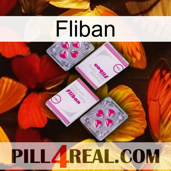 Fliban 33